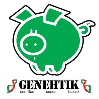 Genetic Seeds Logo